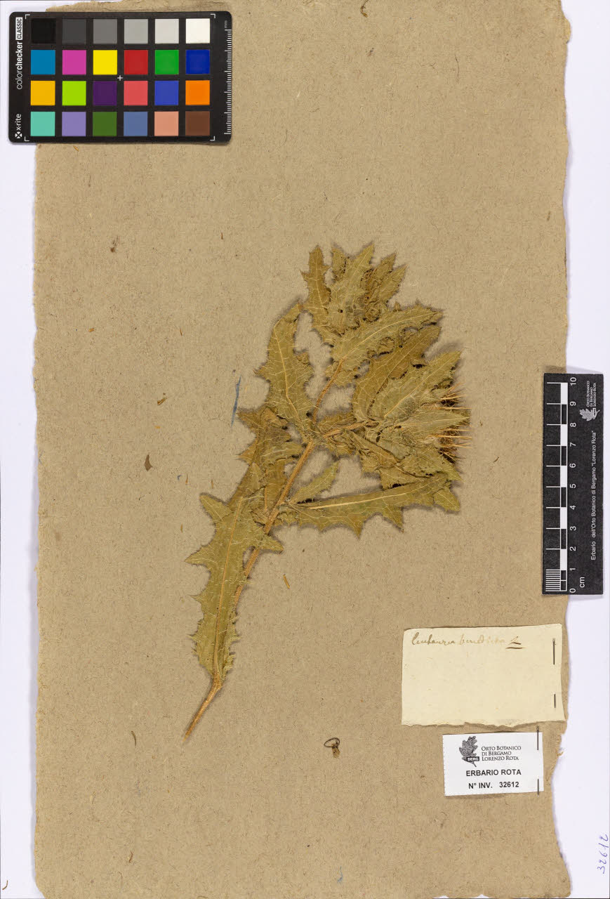 SW_BNB_s3090-10654_IMG-0000000001