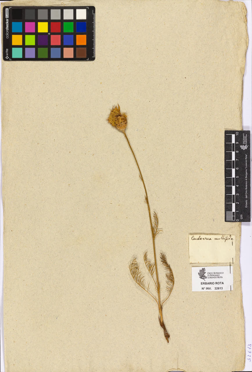 SW_BNB_s3090-10655_IMG-0000000001