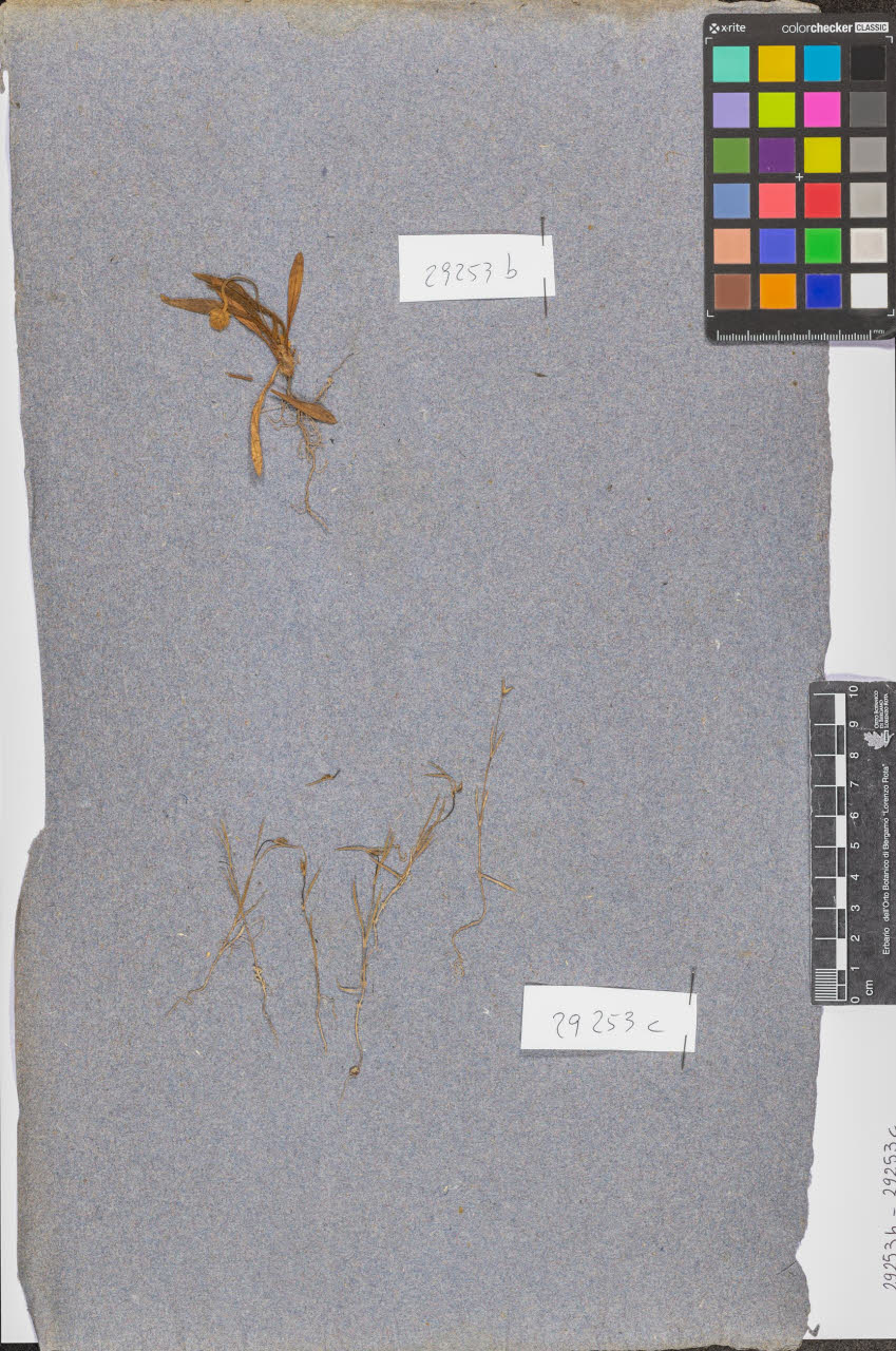 SW_BNB_s3090-10677_IMG-0000000001