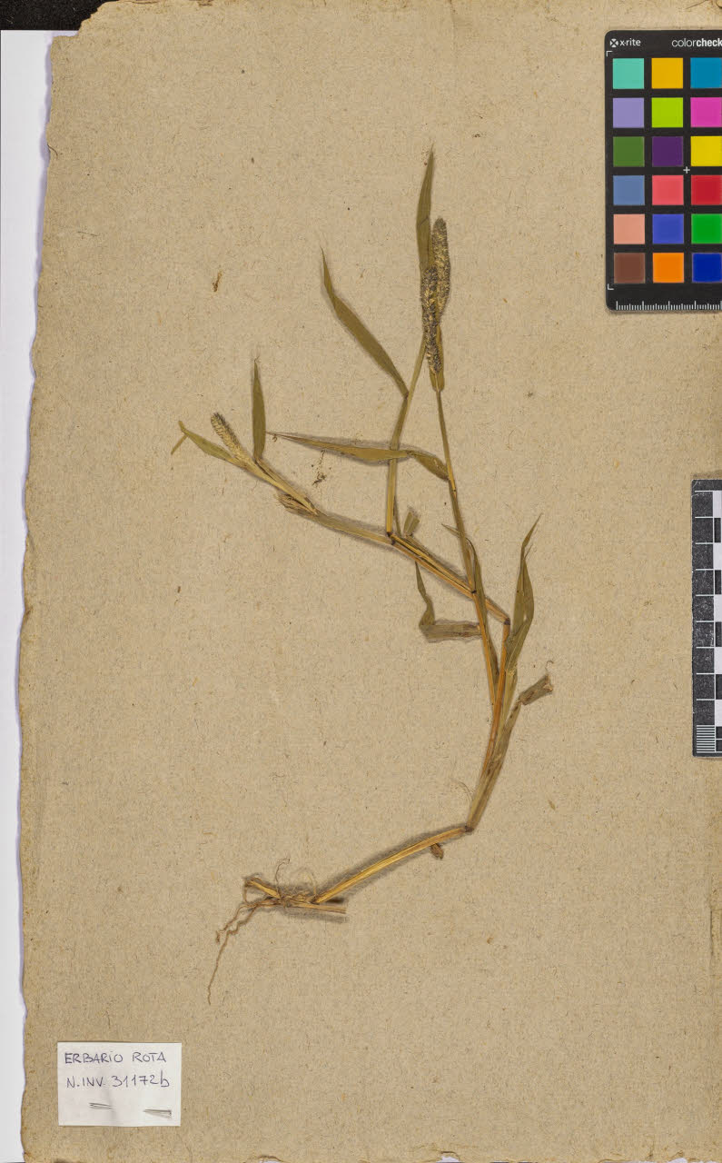 SW_BNB_s3090-10678_IMG-0000000001