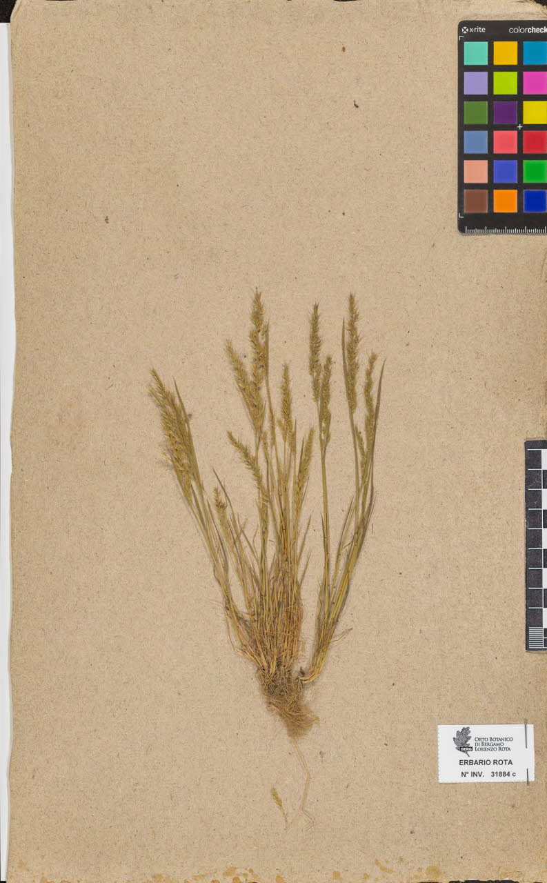 SW_BNB_s3090-10679_IMG-0000000001