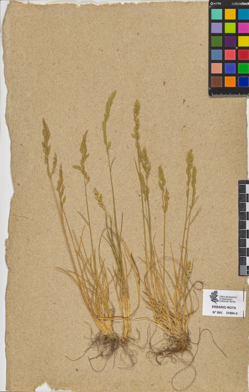 SW_BNB_s3090-10680_IMG-0000000001