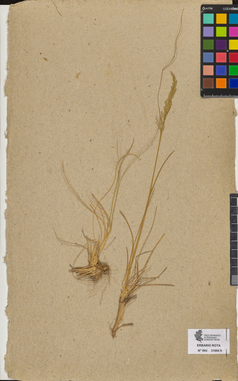 SW_BNB_s3090-10681_IMG-0000000001