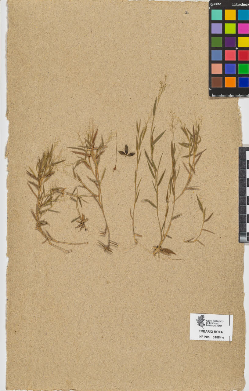 SW_BNB_s3090-10682_IMG-0000000001