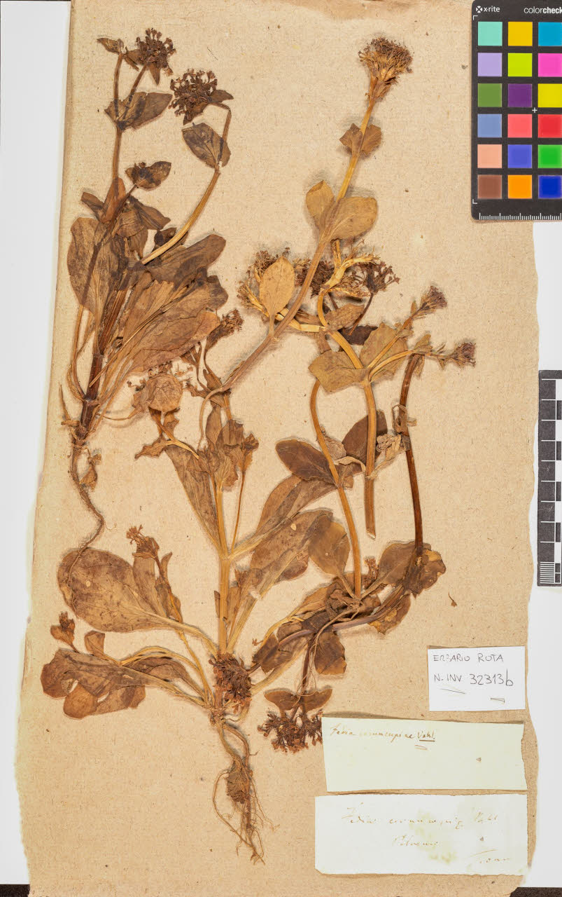 SW_BNB_s3090-10683_IMG-0000000001