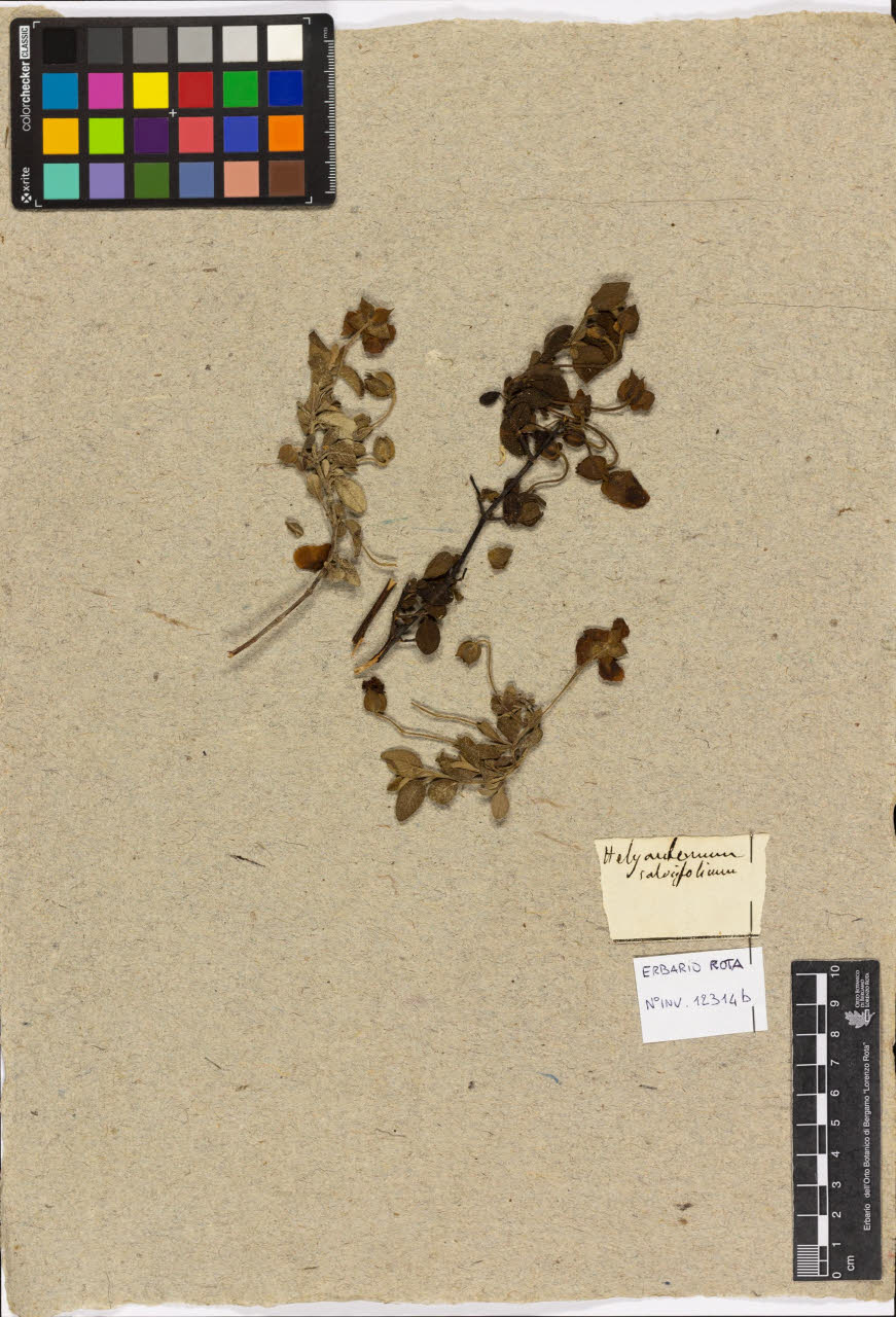 SW_BNB_s3090-10684_IMG-0000000001