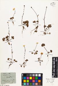SW_BNB_s3010-01358_IMG-0000000001