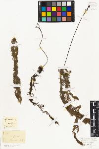 SW_BNB_s3010-01373_IMG-0000000001