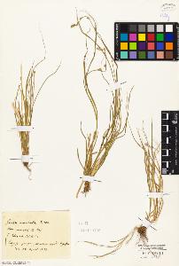 SW_BNB_s3010-01377_IMG-0000000001