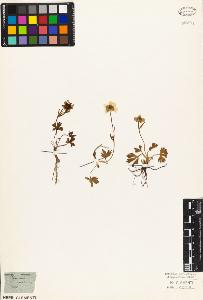 SW_BNB_s3010-01396_IMG-0000000001