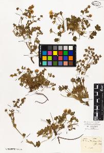 SW_BNB_s3010-01402_IMG-0000000001