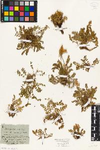 SW_BNB_s3010-01405_IMG-0000000001