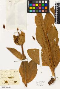 SW_BNB_s3010-01406_IMG-0000000001