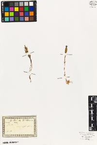 SW_BNB_s3010-01409_IMG-0000000001