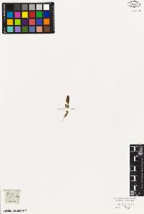 SW_BNB_s3010-01411_IMG-0000000001