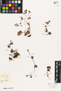 SW_BNB_s3010-01412_IMG-0000000001