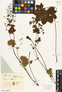 SW_BNB_s3010-01413_IMG-0000000001