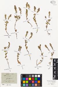 SW_BNB_s3010-01414_IMG-0000000001