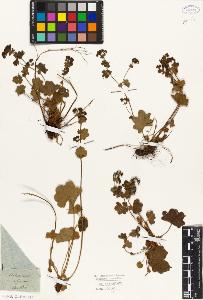 SW_BNB_s3010-01416_IMG-0000000001