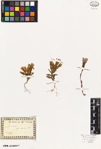 SW_BNB_s3010-01420_IMG-0000000001