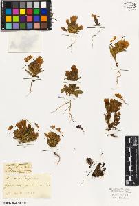 SW_BNB_s3010-01422_IMG-0000000001