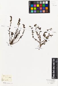 SW_BNB_s3010-01427_IMG-0000000001