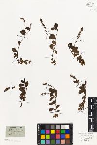 SW_BNB_s3010-01441_IMG-0000000001