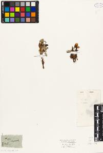 SW_BNB_s3010-01451_IMG-0000000001