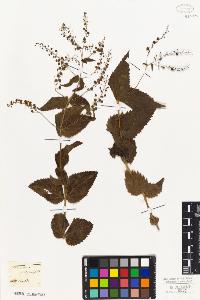 SW_BNB_s3010-01456_IMG-0000000001