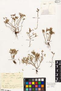SW_BNB_s3010-01477_IMG-0000000001