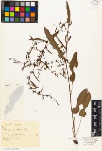 SW_BNB_s3010-01478_IMG-0000000001