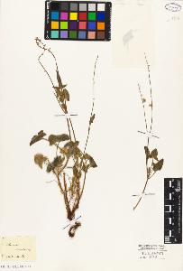 SW_BNB_s3010-01481_IMG-0000000001