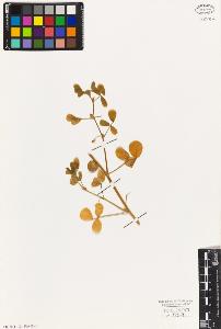 SW_BNB_s3010-01490_IMG-0000000001