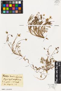 SW_BNB_s3010-01508_IMG-0000000001