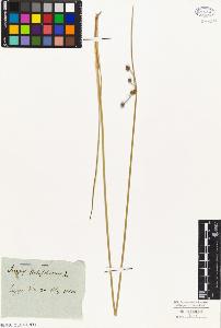 SW_BNB_s3010-01517_IMG-0000000001
