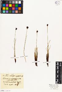 SW_BNB_s3010-01521_IMG-0000000001