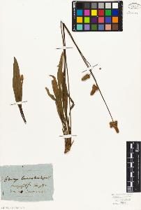 SW_BNB_s3010-01529_IMG-0000000001
