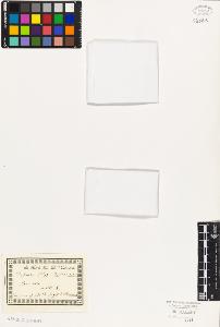 SW_BNB_s3010-01532_IMG-0000000001