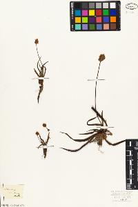 SW_BNB_s3010-01537_IMG-0000000001