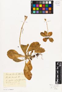 SW_BNB_s3010-01539_IMG-0000000001