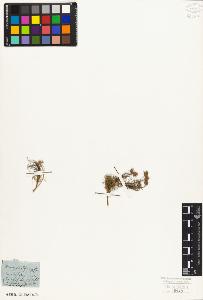 SW_BNB_s3010-01541_IMG-0000000001