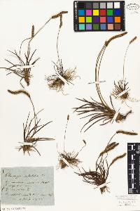 SW_BNB_s3010-01553_IMG-0000000001