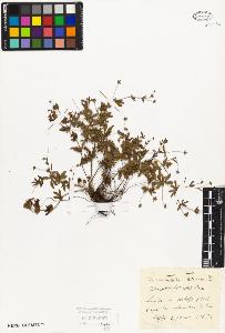 SW_BNB_s3010-01554_IMG-0000000001