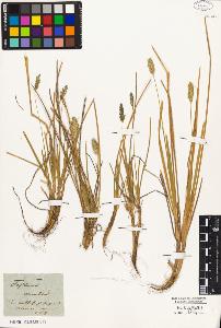SW_BNB_s3010-01559_IMG-0000000001