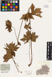 SW_BNB_s3010-01562_IMG-0000000001