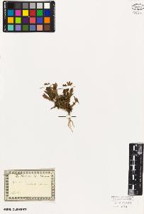 SW_BNB_s3010-01573_IMG-0000000001