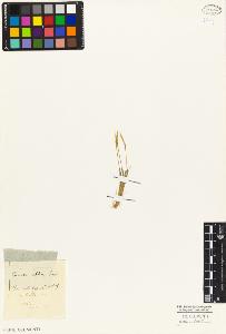 SW_BNB_s3010-01583_IMG-0000000001