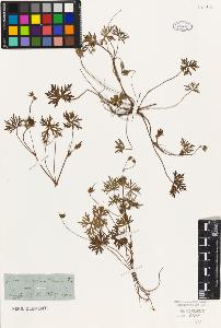 SW_BNB_s3010-01584_IMG-0000000001
