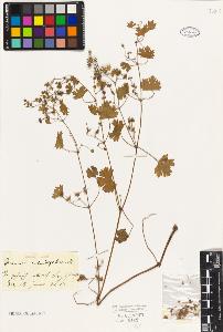 SW_BNB_s3010-01613_IMG-0000000001