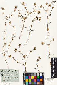 SW_BNB_s3010-01614_IMG-0000000001